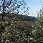 Erdőszéli Parasztház Casa vacanze